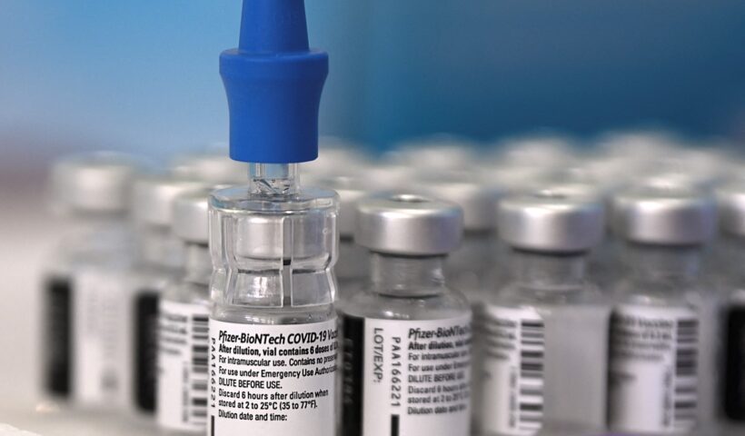 pfizer vacina BRASIL