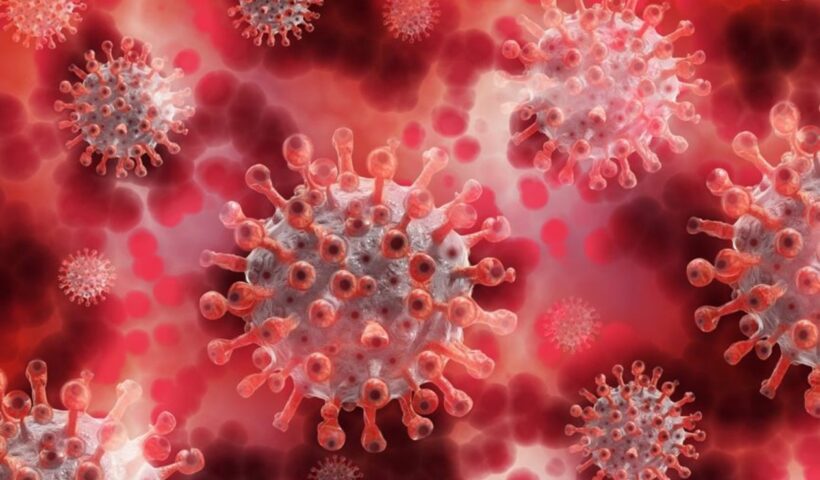 CORONAVIRUS são josé jacarei ômicron chipre delta covid-19