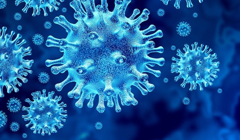 corona JACAREI SJC covid pandemia São José Omicron