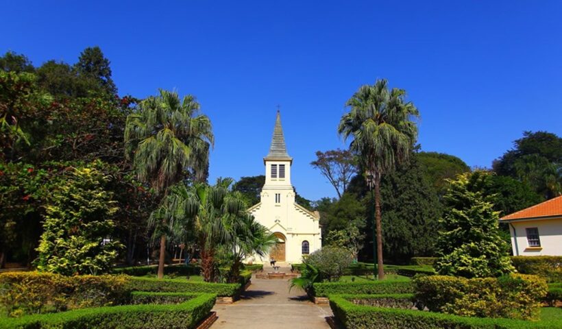 Vicentina Aranha