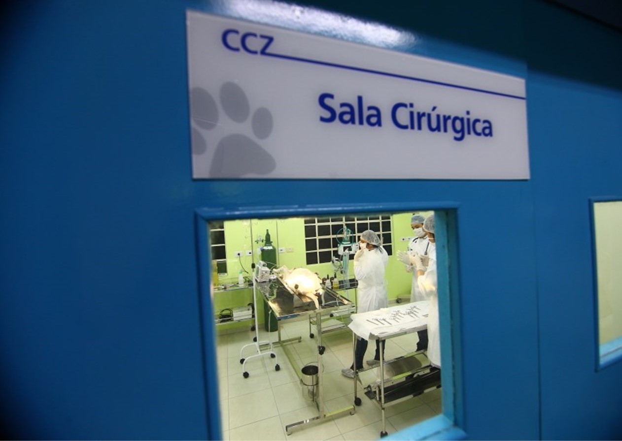 São José inicia hoje castrações da 14ª etapa do Meu Pet Feliz