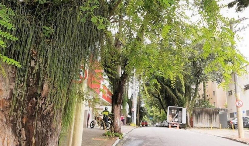 Rua Euclides Miragaia terá trecho interditado no sábado
