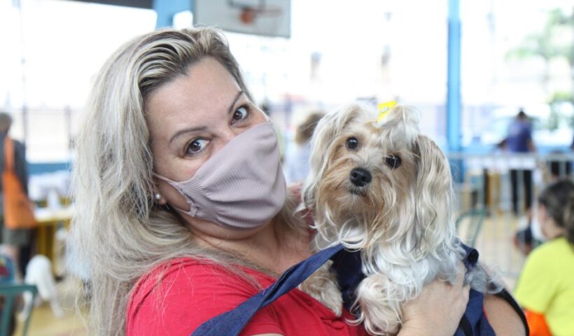 INSCRIÇÕES PARA O CASTRAMÓVEL COMEÇAM NESTA SEXTA-FEIRA