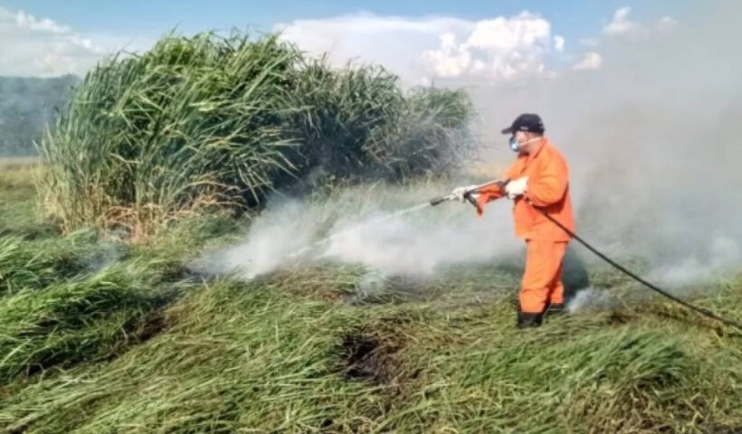 Incêndio atinge área de mata de 15 mil metros quadrados em Taubaté