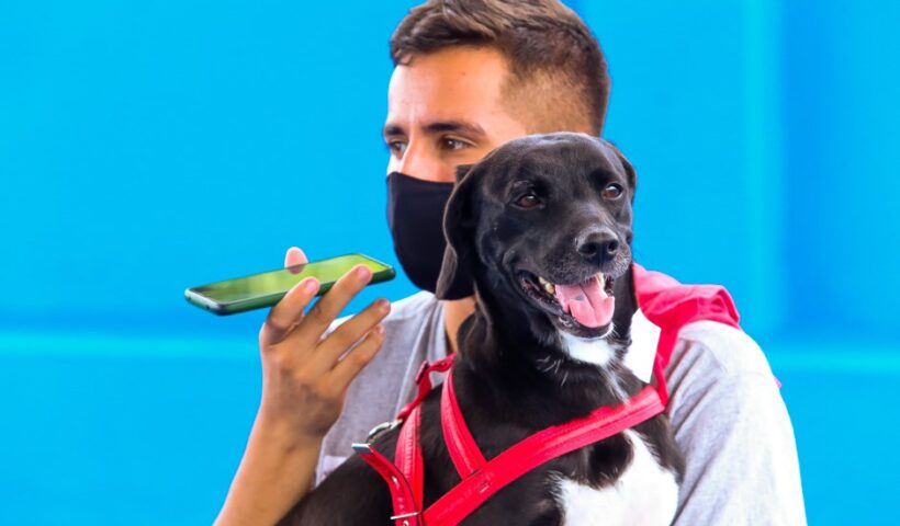 Inscrições para o Castramóvel em SFX começam nesta segunda