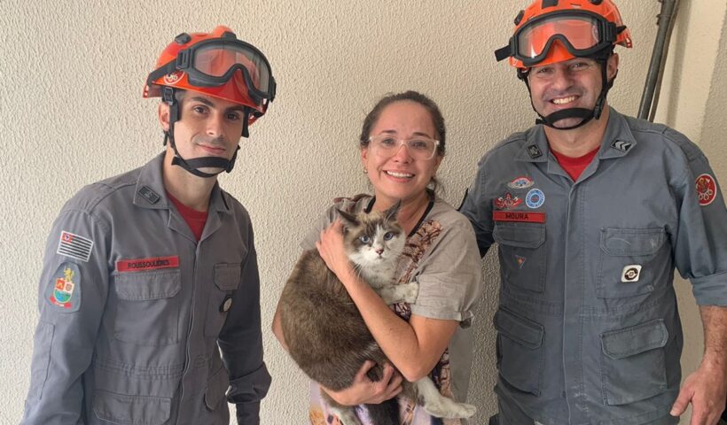 Bombeiros resgatam gato preso em chaminé em SJC