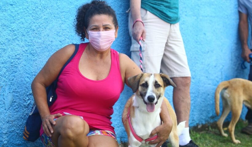 São José abre inscrição para castração gratuita de cães