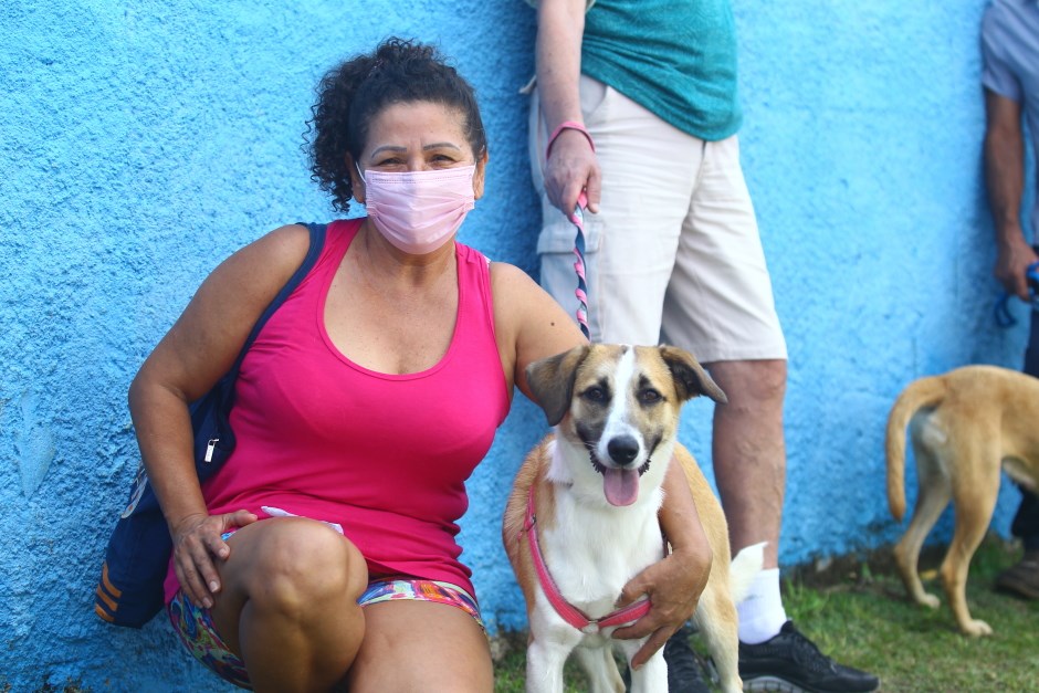 São José abre inscrição para castração gratuita de cães