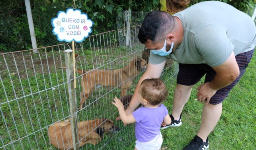 Sábado tem feira de adoção de pets e vacinação antirrábica no CCZ de São José