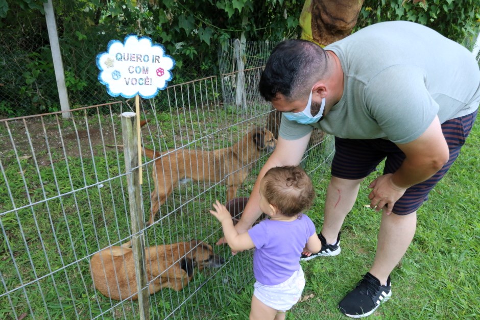 Sábado tem feira de adoção de pets e vacinação antirrábica no CCZ de São José