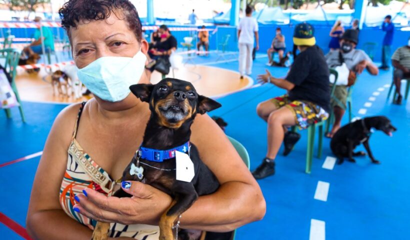 Inscrições para o Castramóvel na região central de SJC encerram hoje