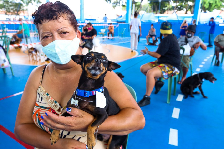 Inscrições para o Castramóvel na região central de SJC encerram hoje