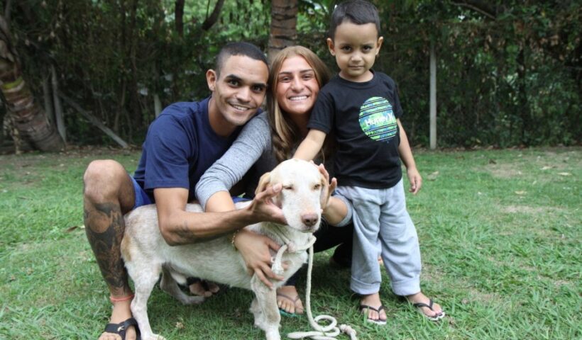 Prefeitura de SJC mantém adoção de pets e vacinação antirrábica