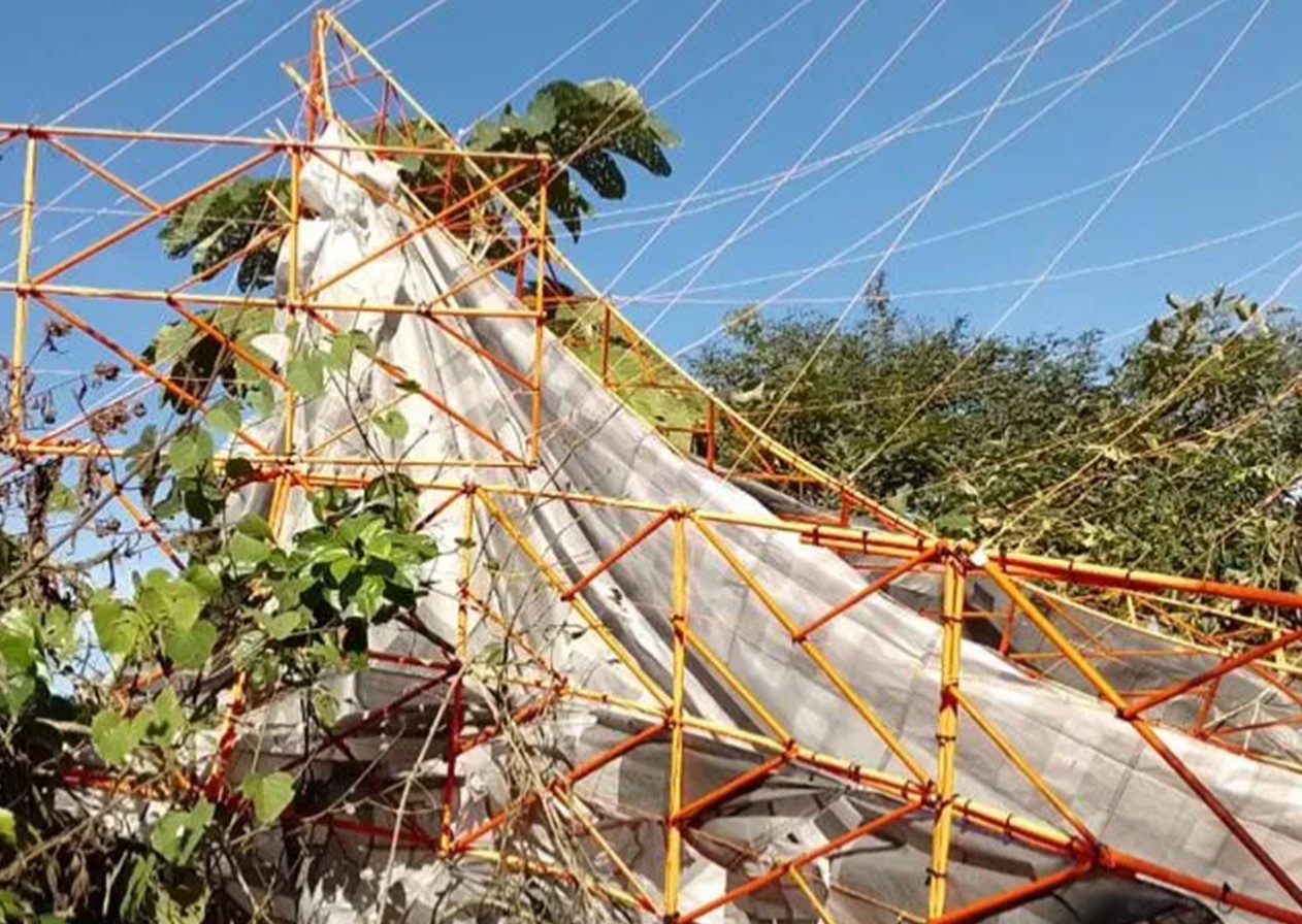 Grupo de baloeiros é preso em Monteiro Lobato
