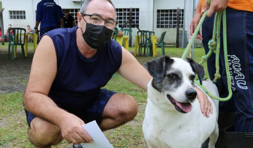 SJC realiza vacinação antirrábica e feira de adoção no sábado (25)