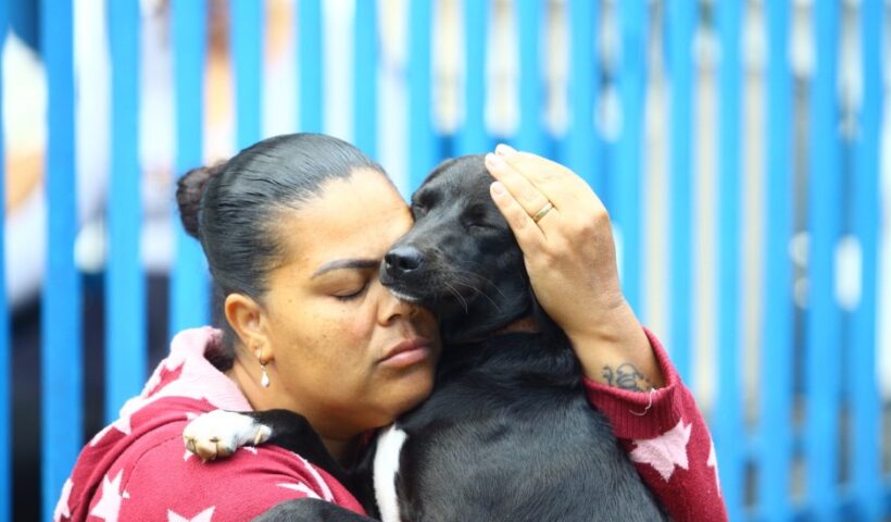 ‘Meu Pet Feliz’ castra 347 cães e gatos na região leste de SJC