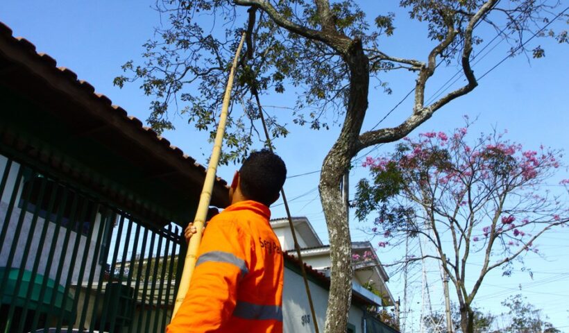 Rua Euclides Miragaia será interditada nesta quinta-feira