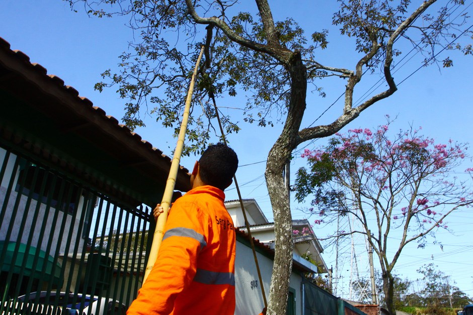 Rua Euclides Miragaia será interditada nesta quinta-feira