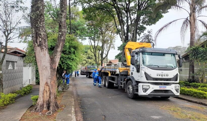 Jardim Satélite recebe ação preventiva de poda de árvores