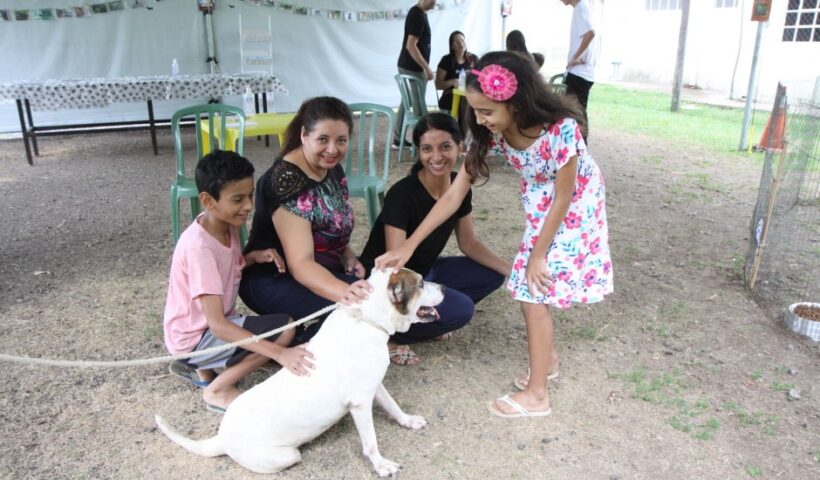 CCZ realiza feira de adoção de cães e gatos no sábado