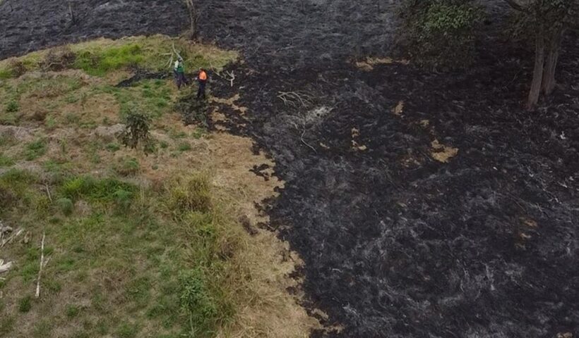 Incêndio na zona rural de Taubaté consome área equivalente a 130 campos de futebol