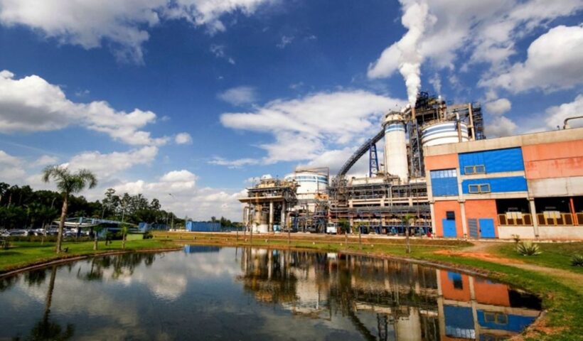 Suzano abre inscrições para estágio em Jacareí