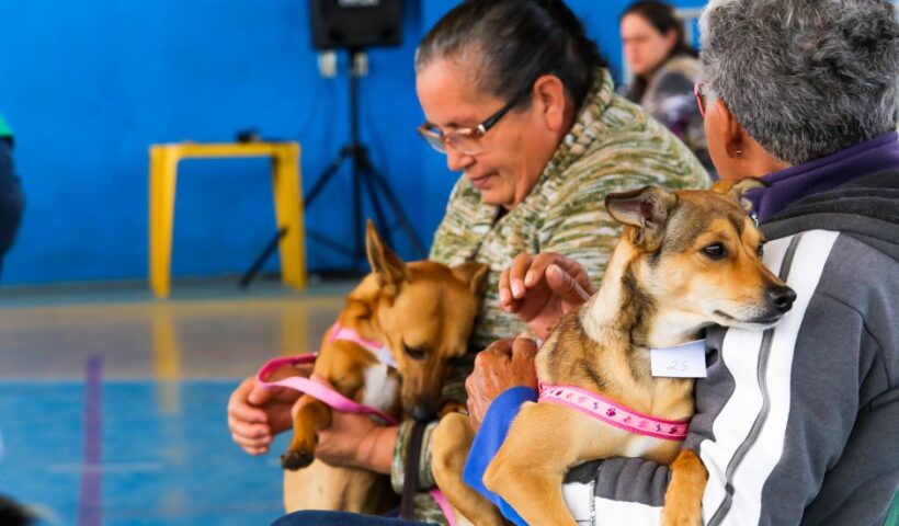 Inscrições para o Castramóvel na região norte começam na quarta