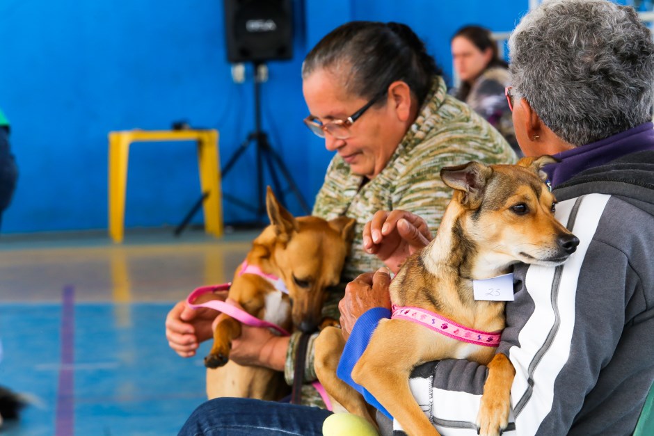 Inscrições para o Castramóvel na região norte começam na quarta