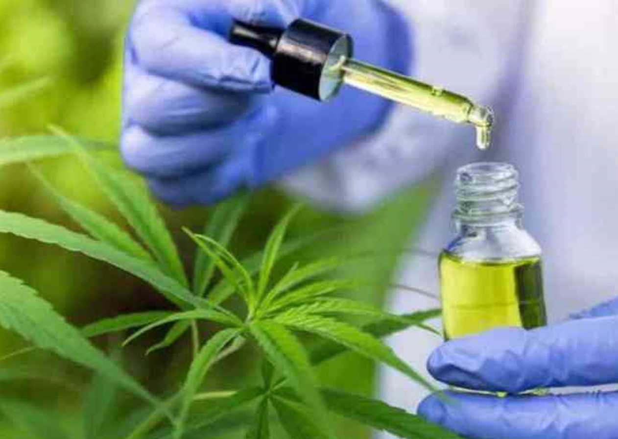 Anvisa autoriza fabricação de novo medicamento à base de cannabis