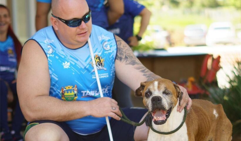 ONG faz feira de adoção com animais do CCZ de Taubaté