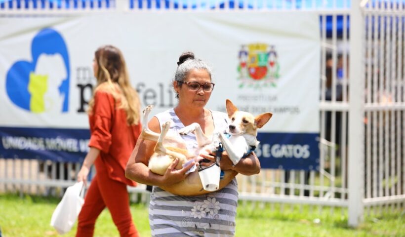 SJC abre 1.000 vagas para castração de cães e gatos
