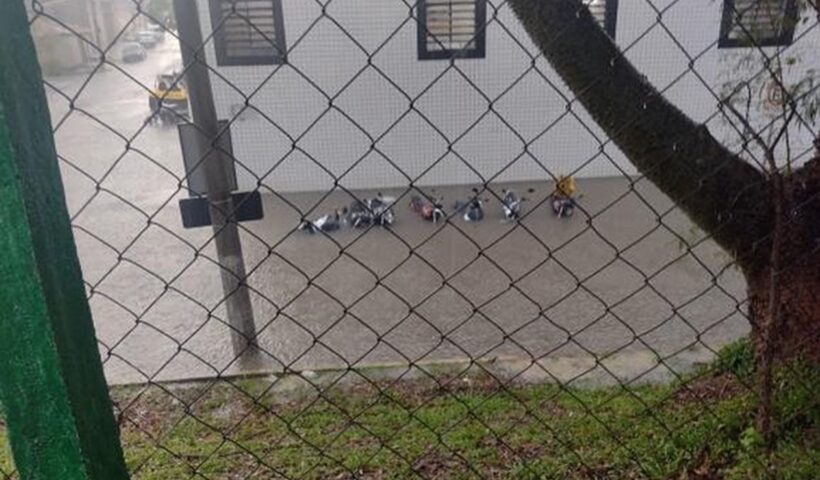 Temporal deixa ruas alagadas e derruba árvores em Taubaté