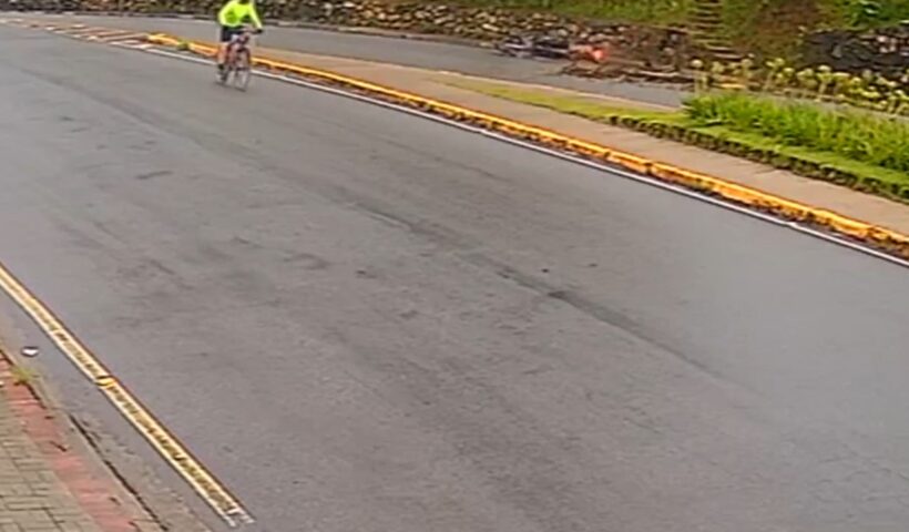 Galho de árvore atinge motociclista em Campos de Jordão