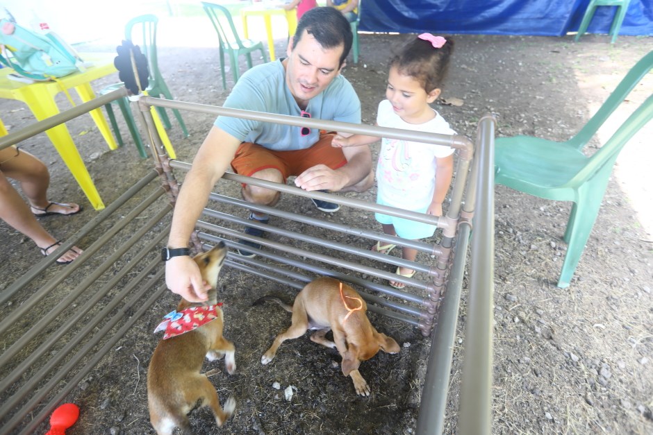 Feira no CCZ de São José disponibiliza 71 pets para adoção