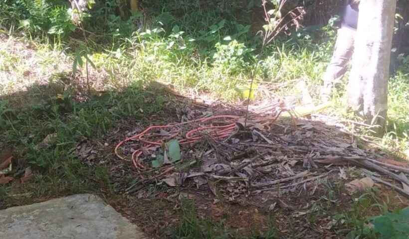 Homem confessa assassinato e ocultação de cadáver durante sessão de terapia em Ubatuba