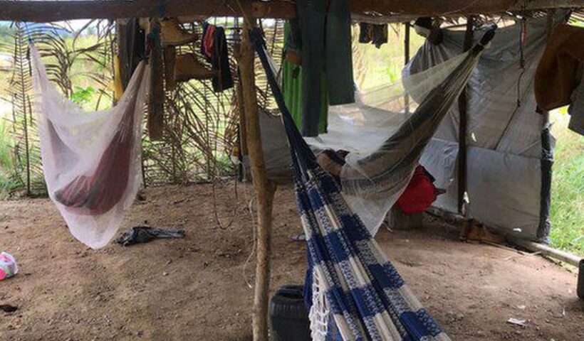 Polícia Federal fecha garimpo ilegal no Pará e resgata trabalhadores
