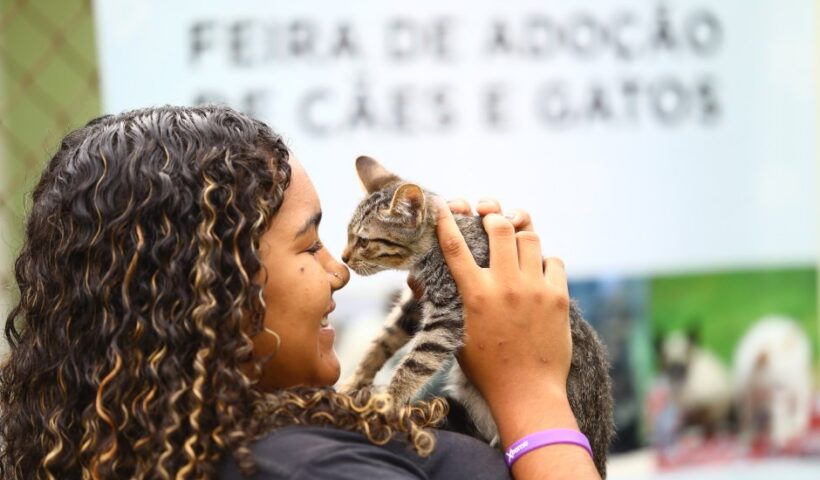 CCZ de São José realiza feira de adoção neste sábado