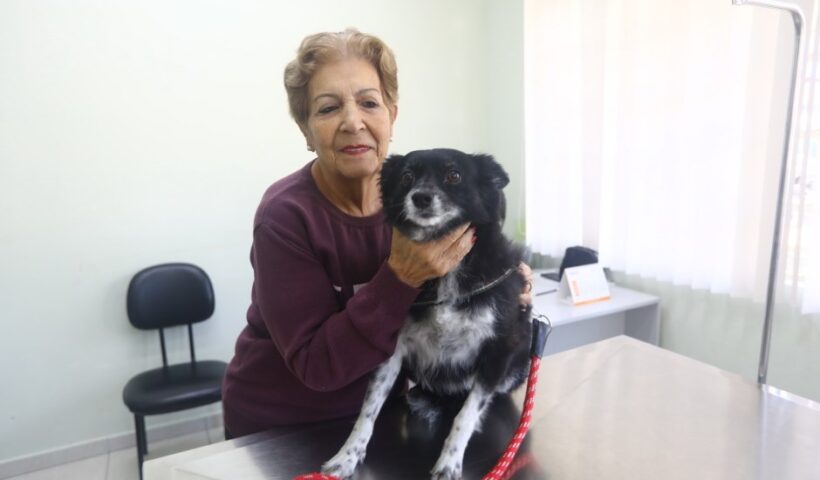 CCZ realiza feira de adoção de pets neste sábado (22)