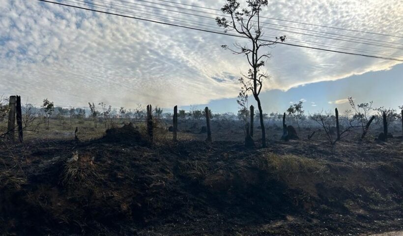 Incêndio atinge área de 60 mil m² em Taubaté