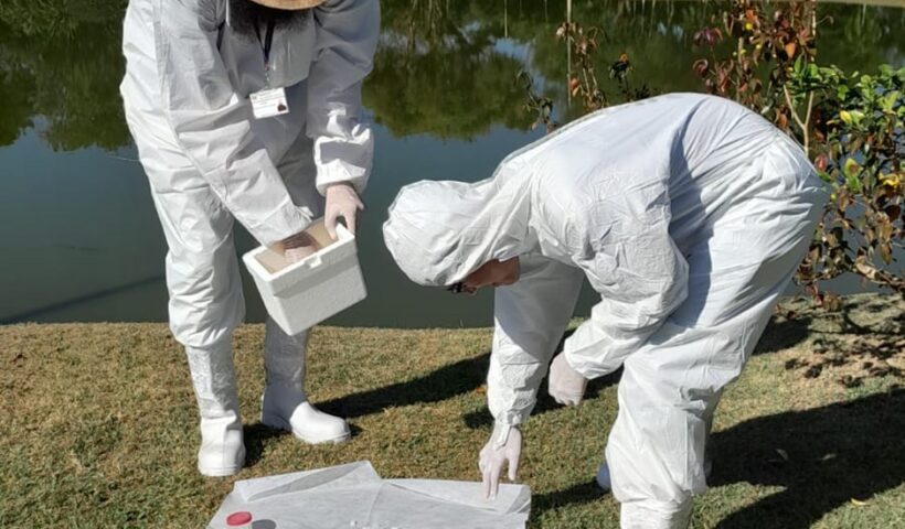 Agentes realizam pesquisa sobre carrapatos em 3 pontos da cidade
