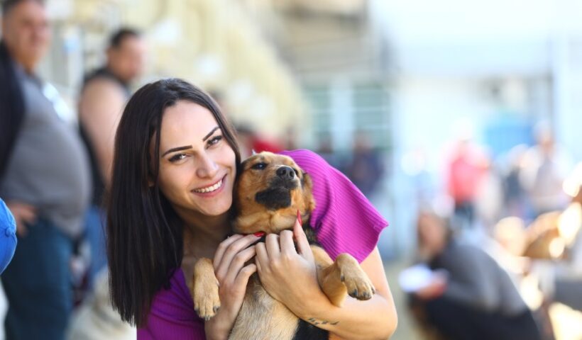 Meu Pet Feliz abre mais 1.000 vagas para castração e microchipagem