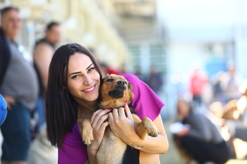 Meu Pet Feliz abre mais 1.000 vagas para castração e microchipagem
