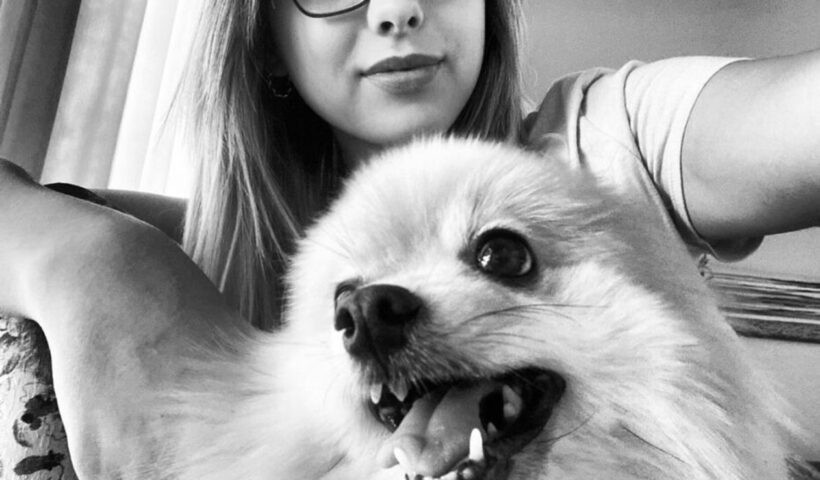Cãozinho Fox morre após 16 dias de luta pela vida