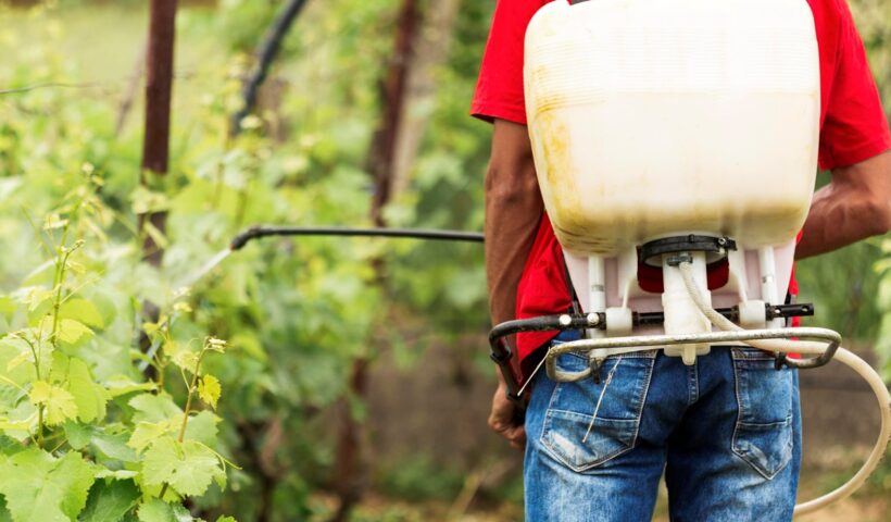 Senado aprova mudanças no registro de agrotóxicos
