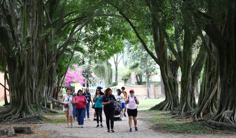 Último City Tour do ano vai visitar as atrações do Parque da Cidade
