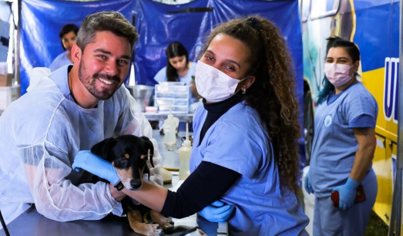 Meu Pet Feliz tem 1.000 vagas para castrações e microchipagens