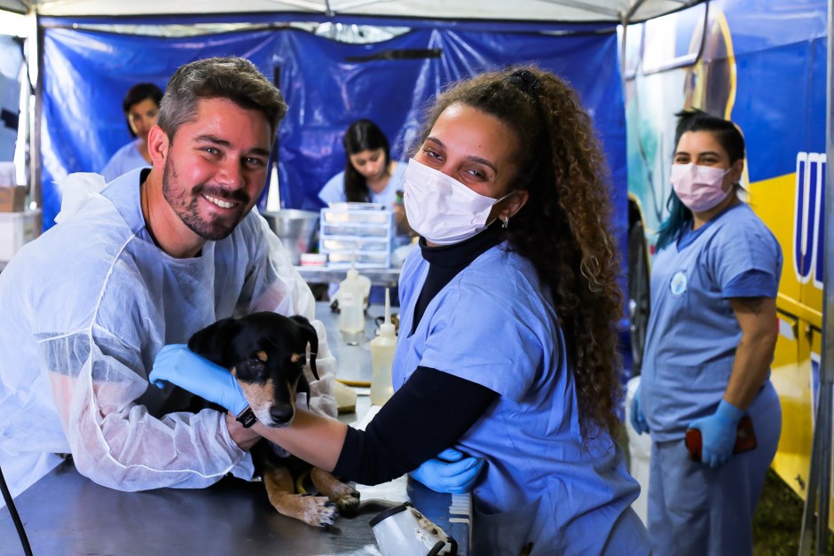 Meu Pet Feliz tem 1.000 vagas para castrações e microchipagens