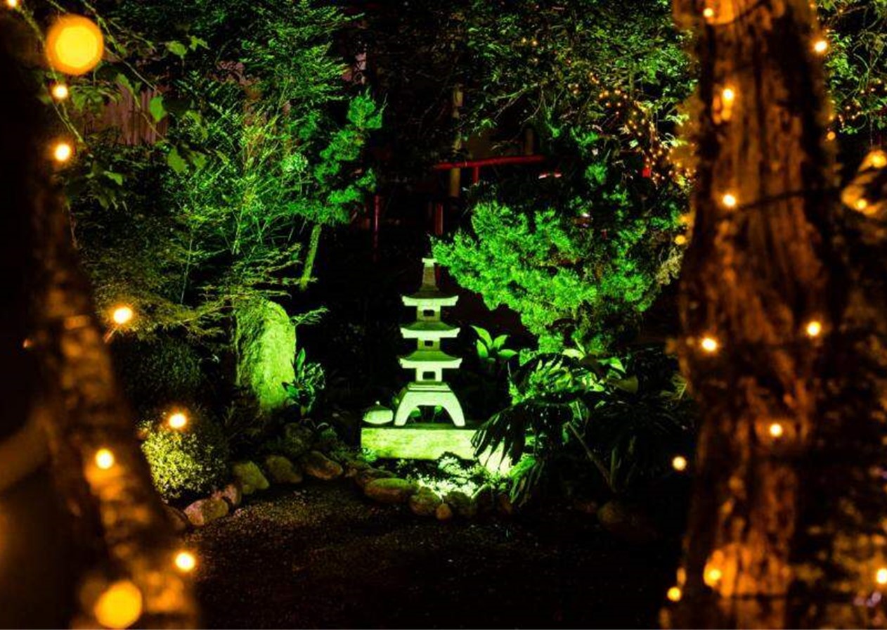Parque da Cerejeira, em Campos do Jordão inaugura programação de Natal com 60 cerejeiras iluminadas