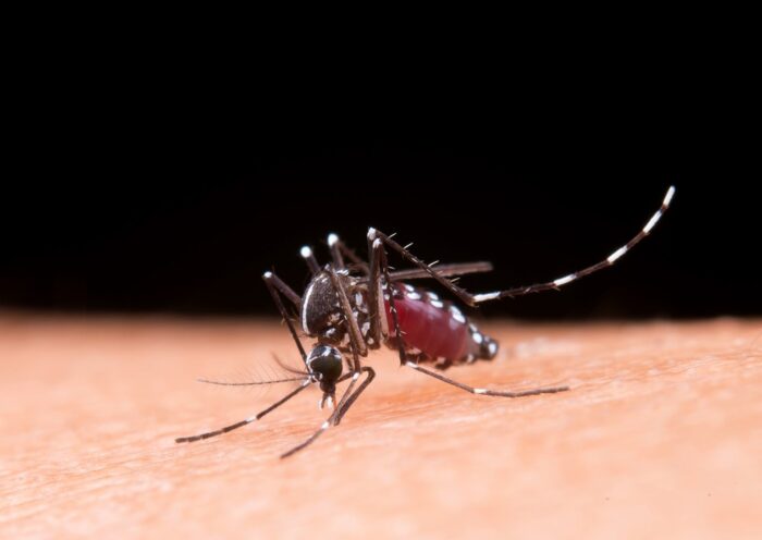 Mais um idoso morre por dengue em Jacareí