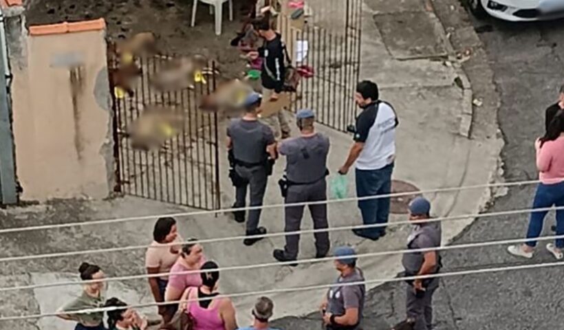 Cachorros são encontrados mortos sob suspeita de envenenamento em SJC